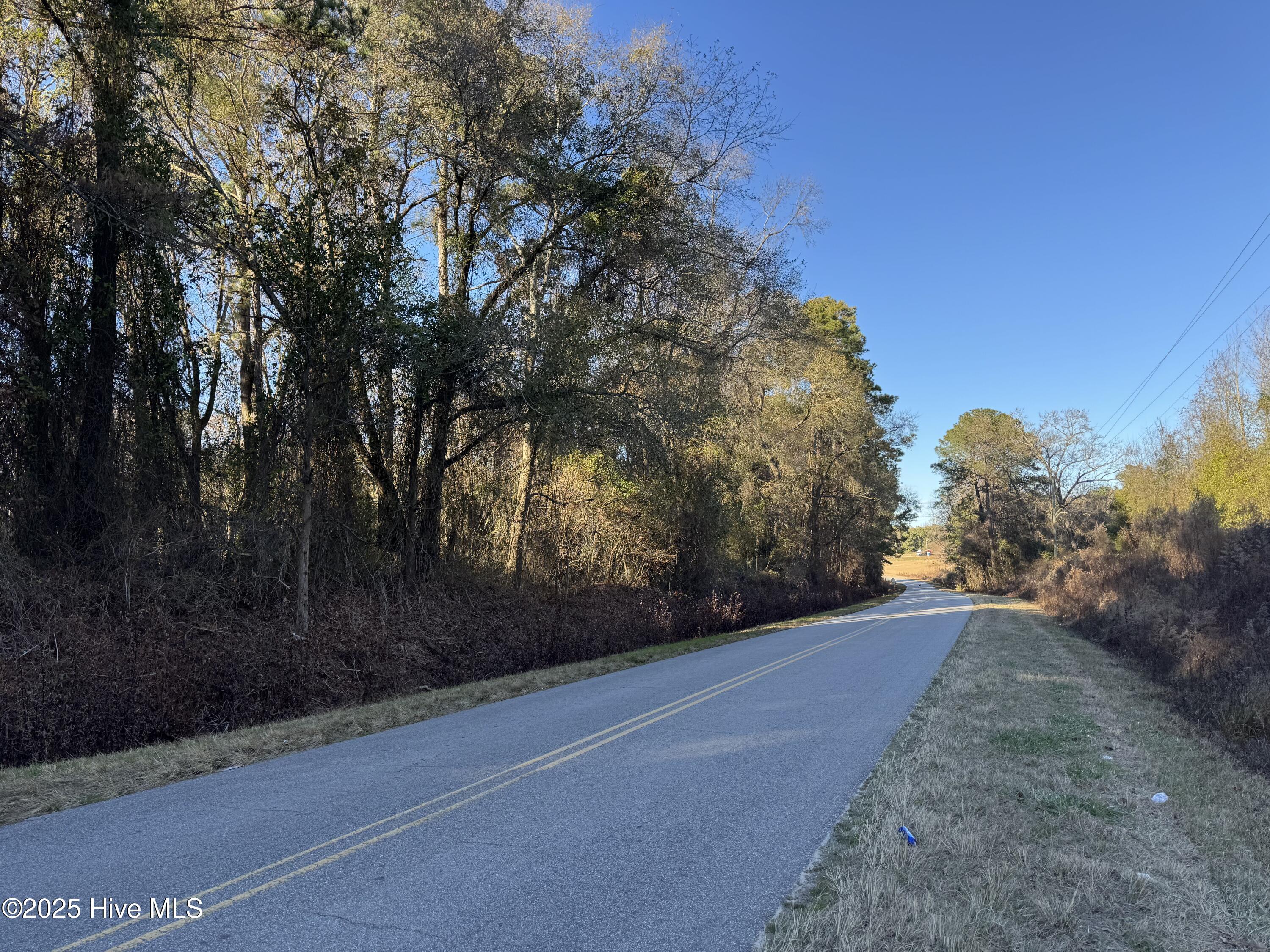 0 New Hope Church Road Turkey, NC 28393 - Photo 2 of 11 IMG_8496