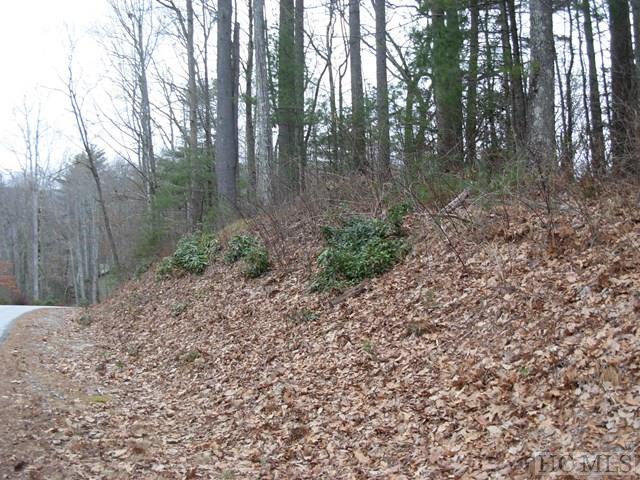 128 Upper Whitewater Road Sapphire, NC 28774 - Photo 1 of 1 Gallery Image 1