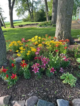 $549,900 | 23371 650th Avenue, Alden, MN 56009