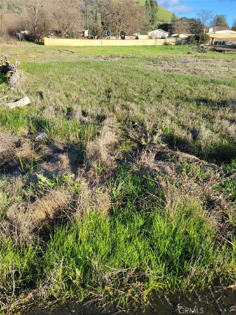 2810 10th Street Clearlake, CA 95422 - Photo 5 of 11 a view of a yard with an outdoor space