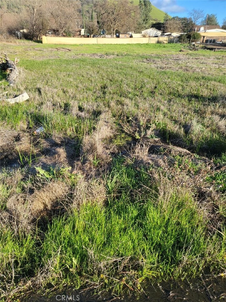 2810 10th Street Clearlake, CA 95422 - Photo 10 of 11 a view of a yard with an outdoor space