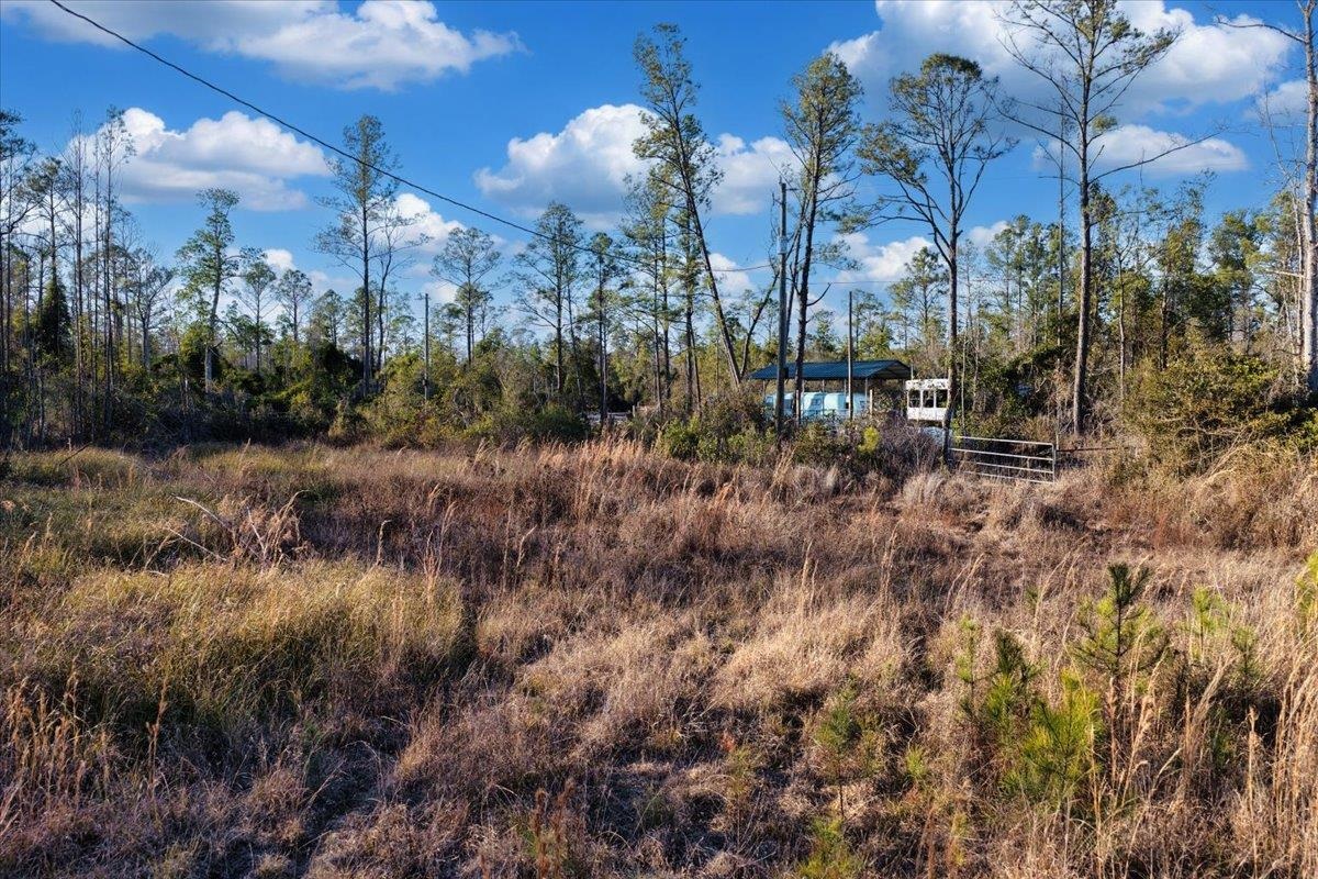 8412 Southwest Tower Road Madison, FL 32340 - Photo 8 of 32