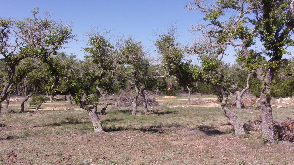 Lot 12 Byrd Ranch Road, Unit 12 Johnson City, TX 78636 - Photo 24 of 37 Gallery Image 24