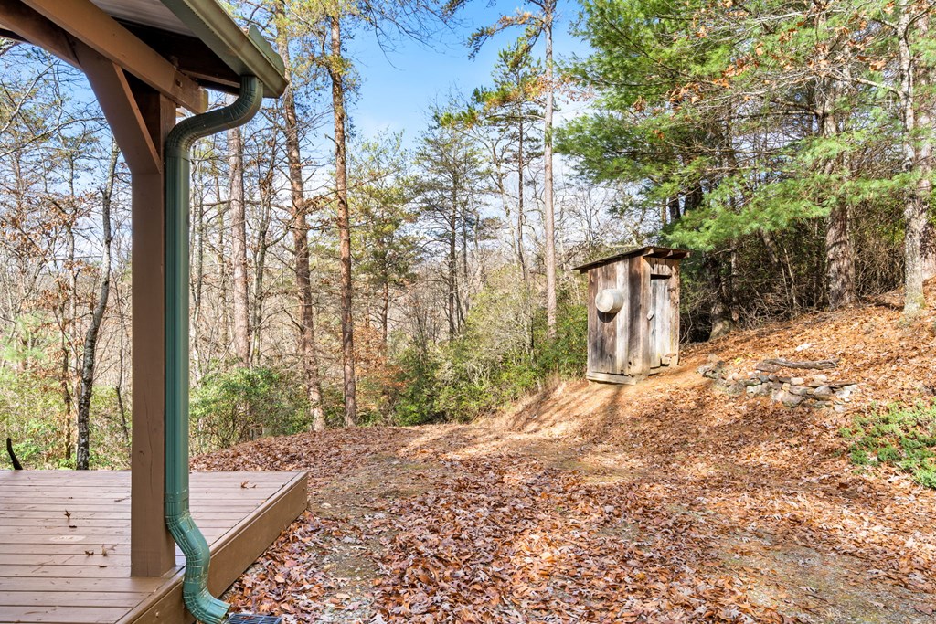 488 Smith Road Brasstown, NC 28902 - Photo 29 of 42 a view of a backyard of the house