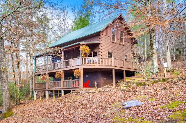 a picture of flowers