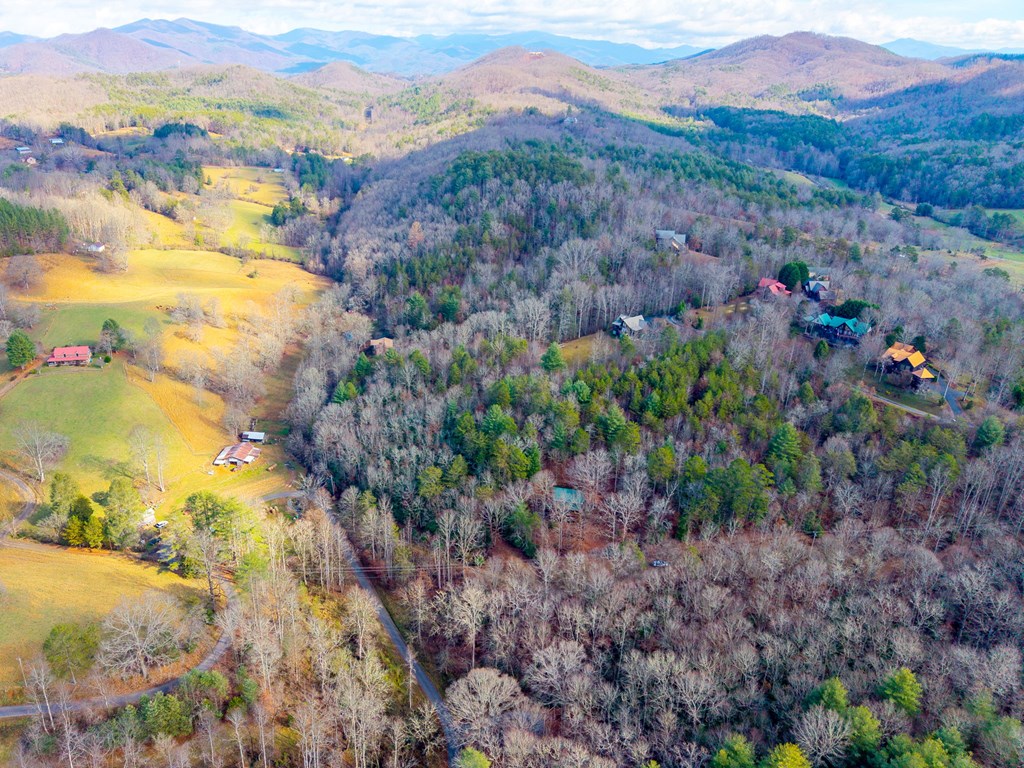 488 Smith Road Brasstown, NC 28902 - Photo 37 of 42 a view of a houses with a yard