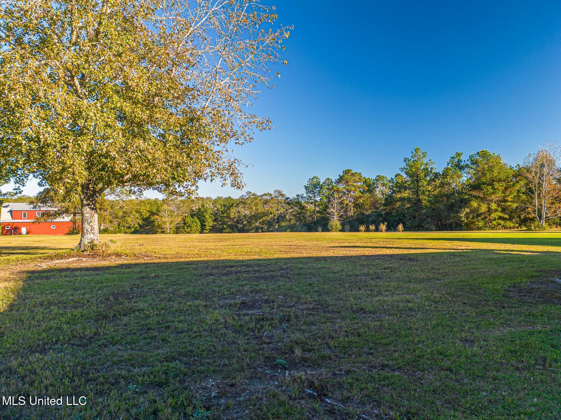 19910 Red Oak Road Saucier, MS 39574 - Photo 71 of 78 Back yard