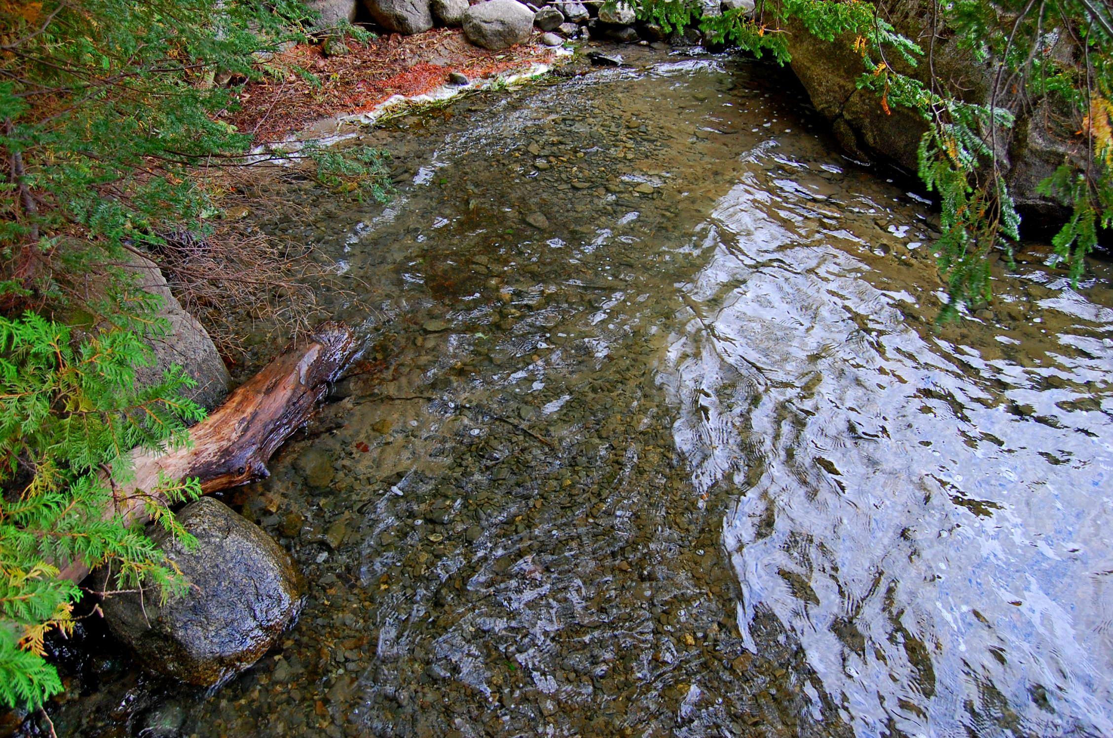 93 Ellis Pond Road Oakland, ME 04963 - Photo 13 of 54 pebbly swim area
