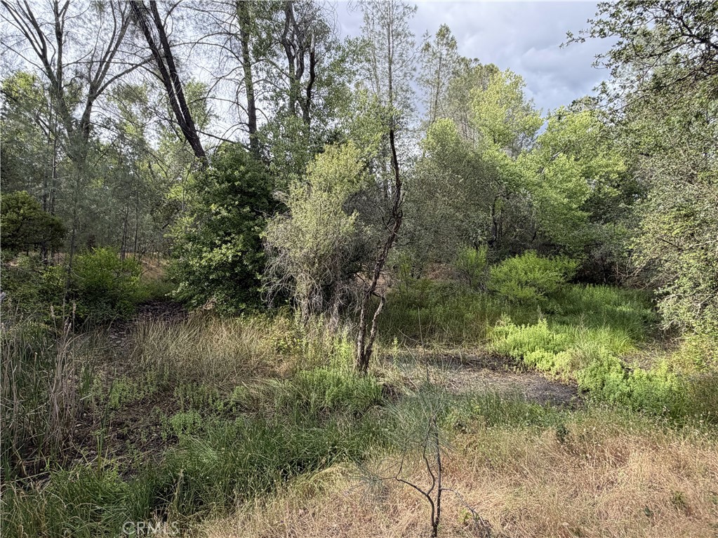 0 Ophir Road Oroville, CA 95966 - Photo 12 of 29 a view of a lake with lots of trees