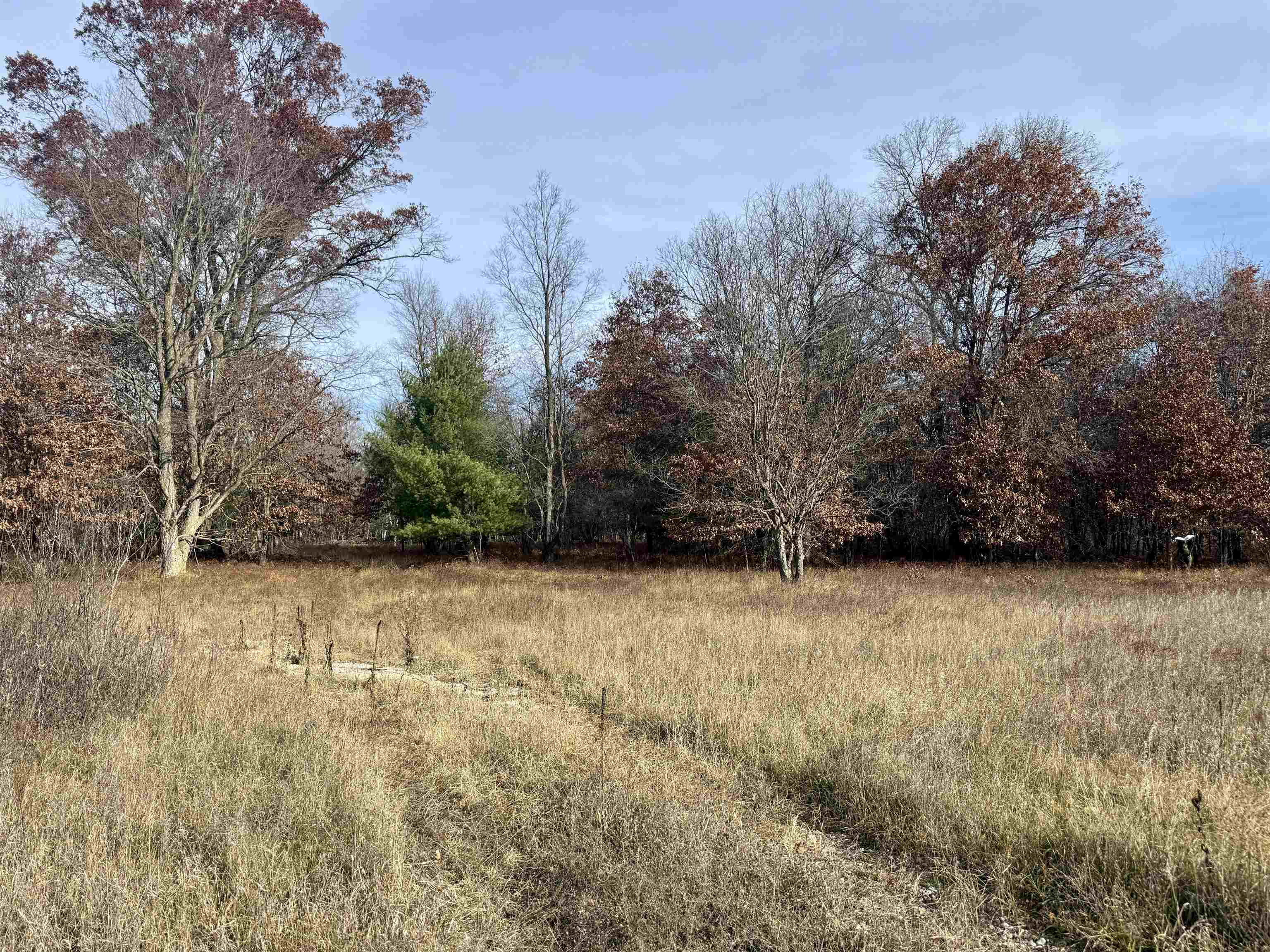 Parcel E West Rosted Road Lake City, MI 49651 - Photo 15 of 23