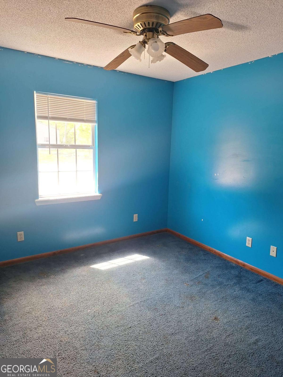 37 Faison Street Baxley, GA 31513 - Photo 11 of 17