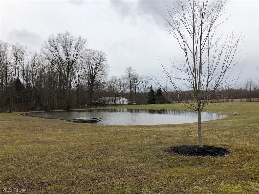 8820 Wadsworth Road Windham, OH 44288 - Photo 6 of 21 Gallery Image 6