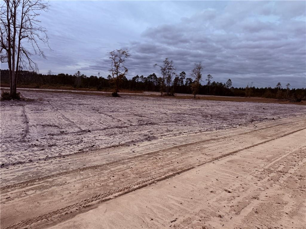 Lot 14 Wiregrass Lane, Unit 14 Waycross, GA 31503 - Photo 2 of 6
