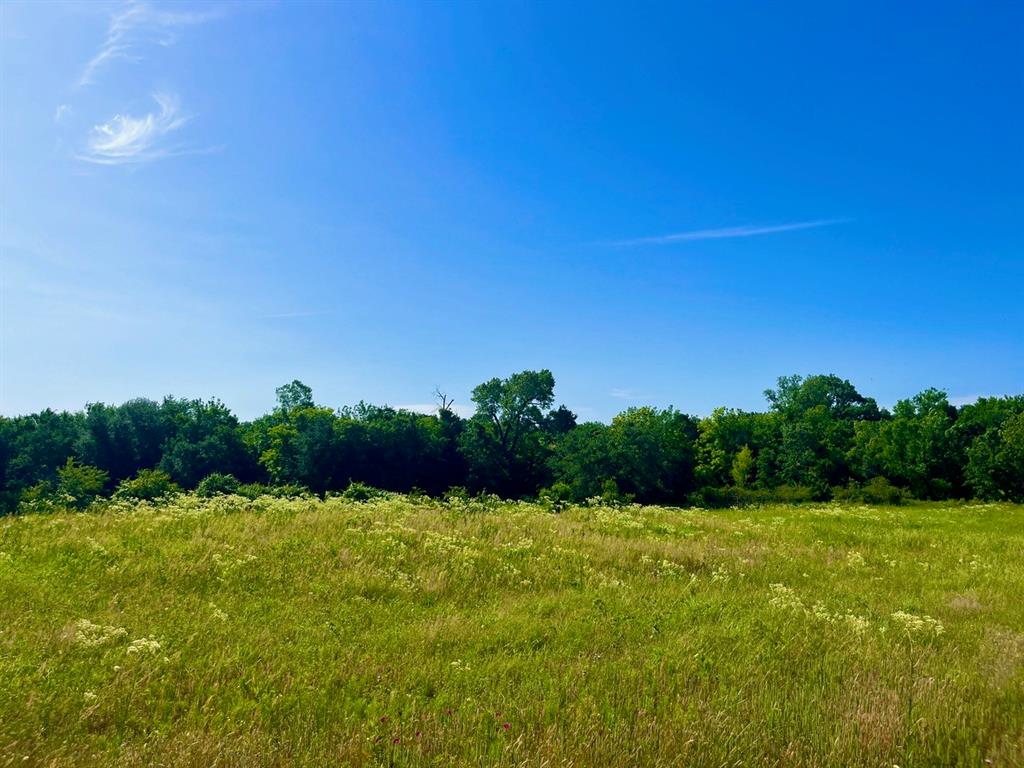 Lot 69 Kilkenny Road Poolville, TX 76487 - Photo 2 of 12