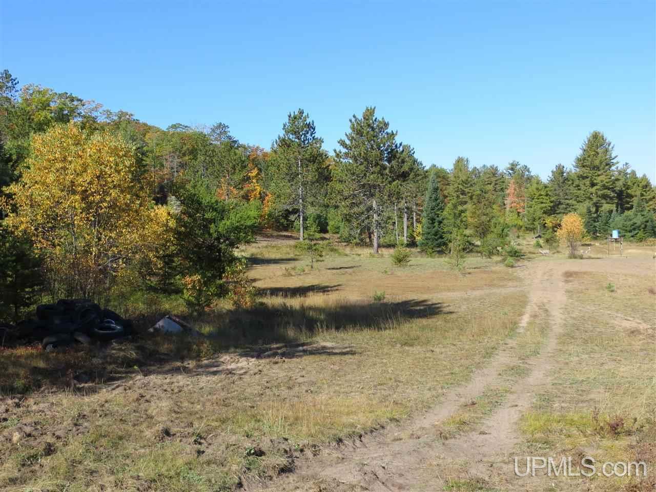 Tbd Co Rd Ff Republic, MI 49879 - Photo 7 of 29