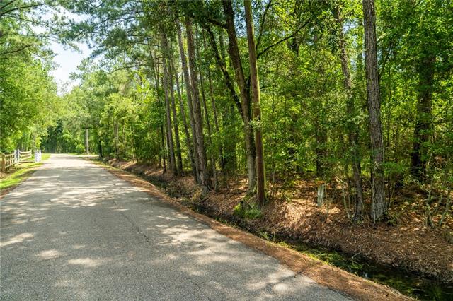 0 Chill Blue Springs Road Hammond, LA 70401 - Photo 1 of 3