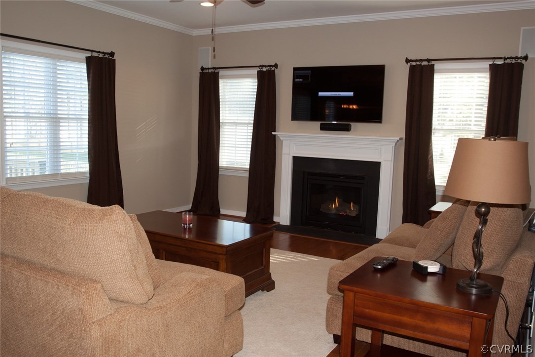 11019 Avening Road Chesterfield, VA 23832 - Photo 4 of 14 a living room with furniture a fireplace and a flat screen tv