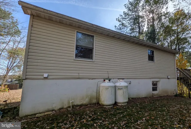 a view of a backyard with plants and trees