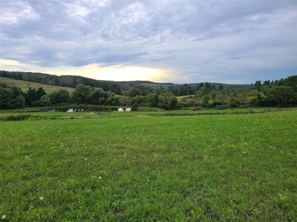 10815 Church Creek Road Caton, NY 14858 - Photo 4 of 22