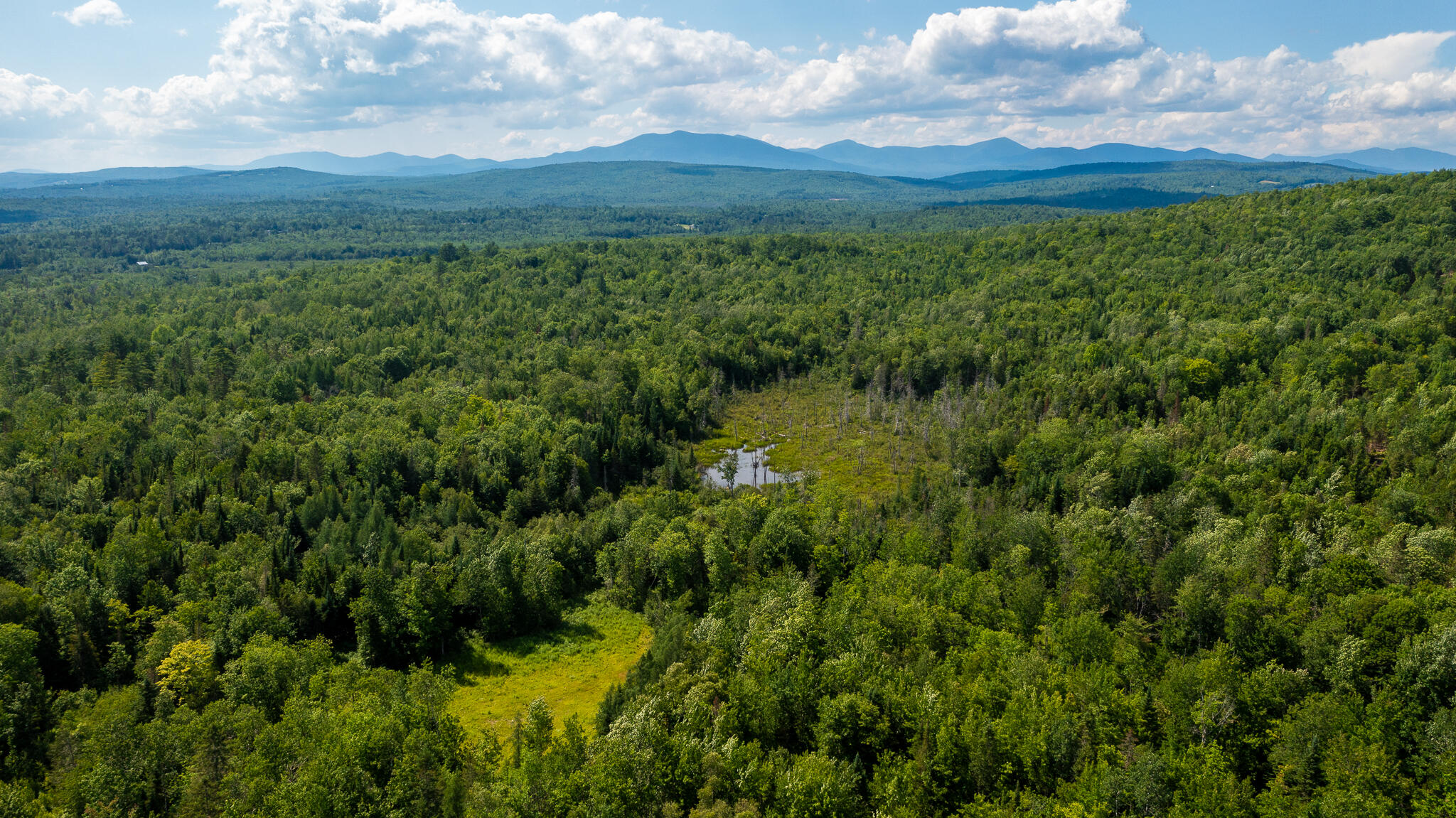 0 Miller Road New Vineyard, ME 04956 - Photo 43 of 48 MNewportland-36