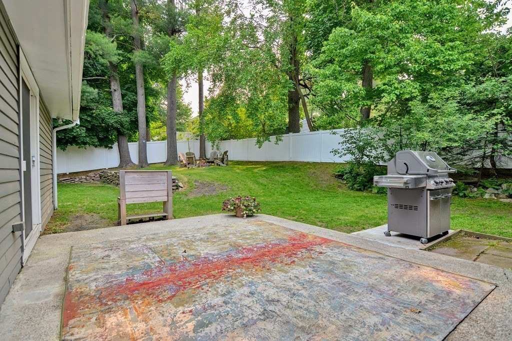 211 Beacon Street Framingham, MA 01701 - Photo 40 of 42 a view of a garden with a slide