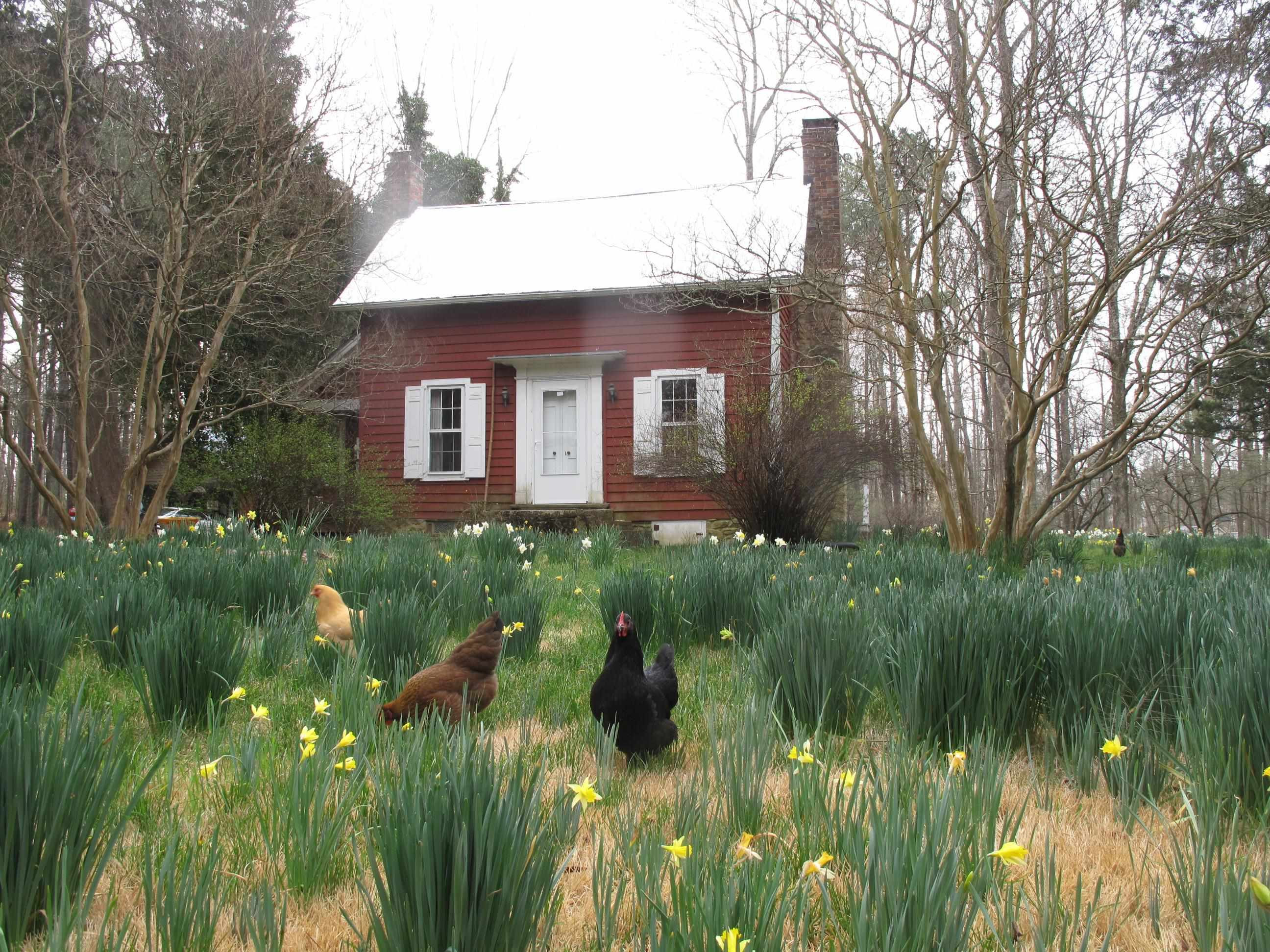 1078 Lystra Road Chapel Hill, NC 27517 - Photo 41 of 48 Photo 41