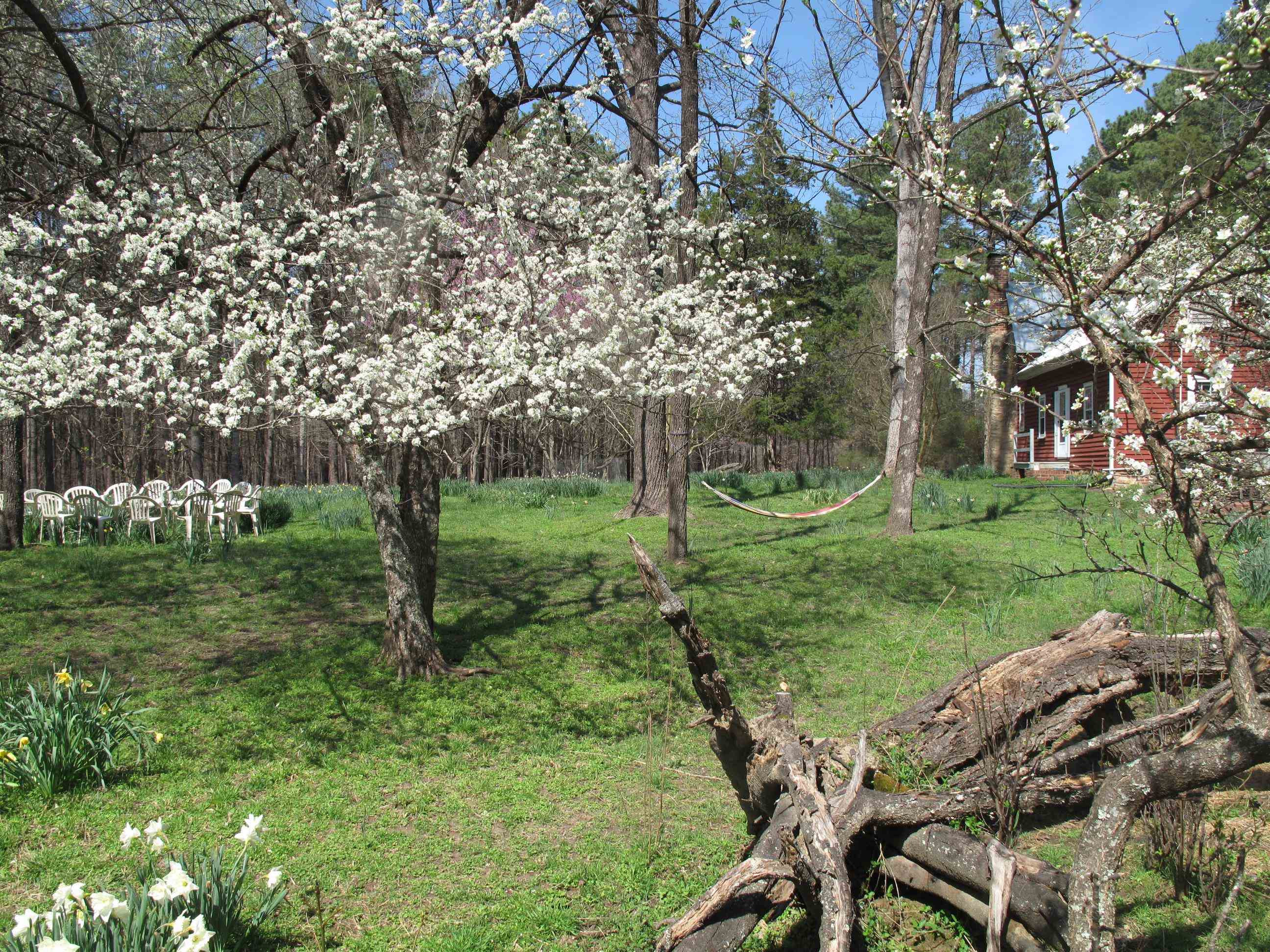 1078 Lystra Road Chapel Hill, NC 27517 - Photo 42 of 48 Photo 42