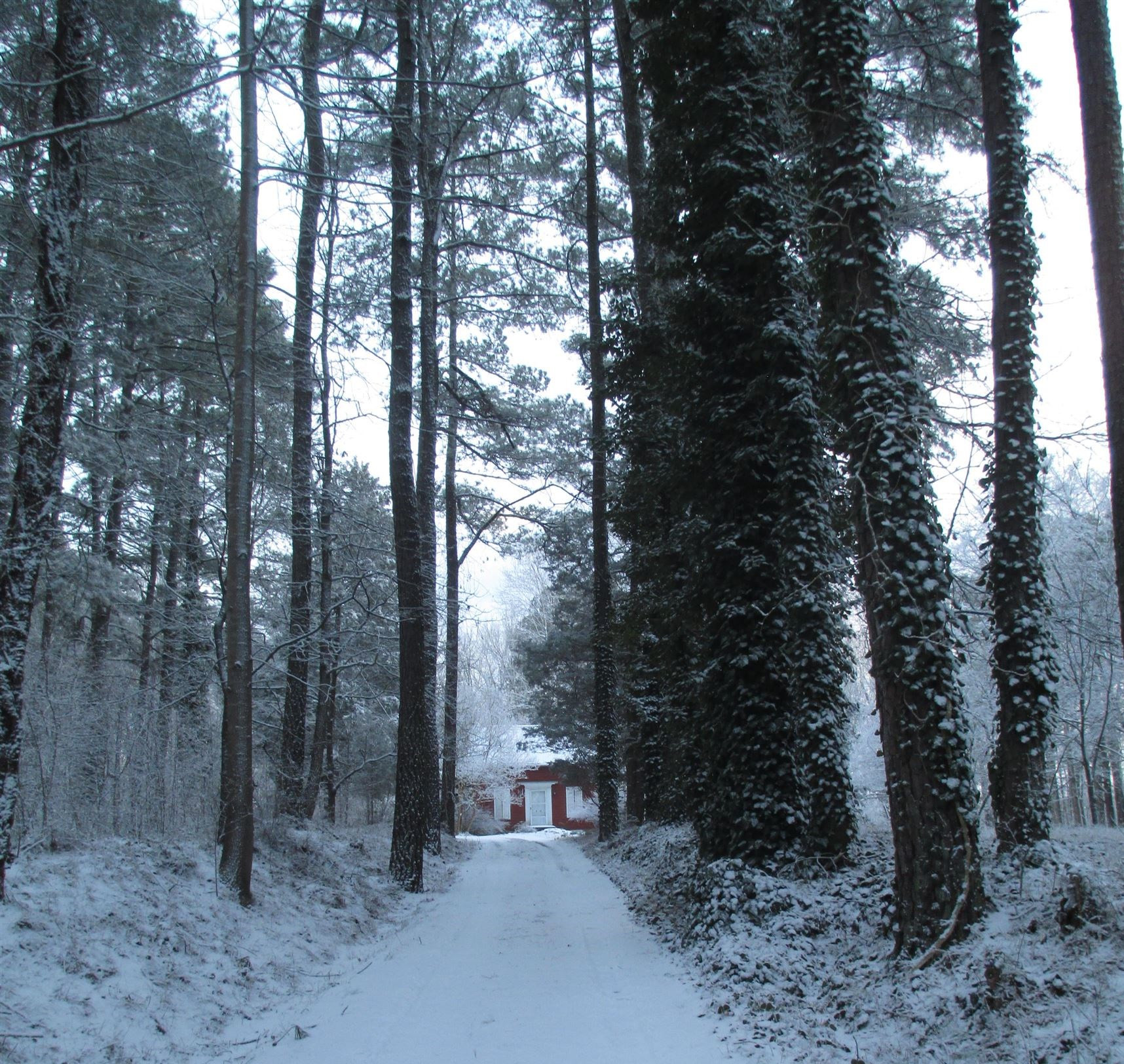 1078 Lystra Road Chapel Hill, NC 27517 - Photo 43 of 48 Photo 43