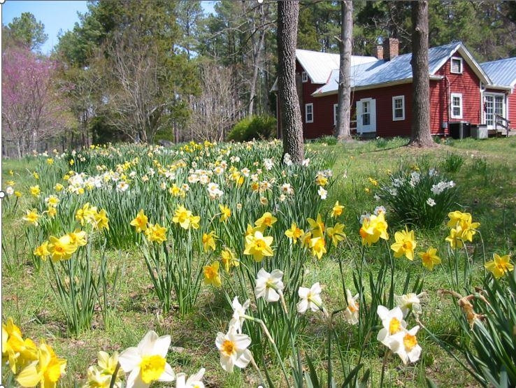 1078 Lystra Road Chapel Hill, NC 27517 - Photo 48 of 48 Photo 48