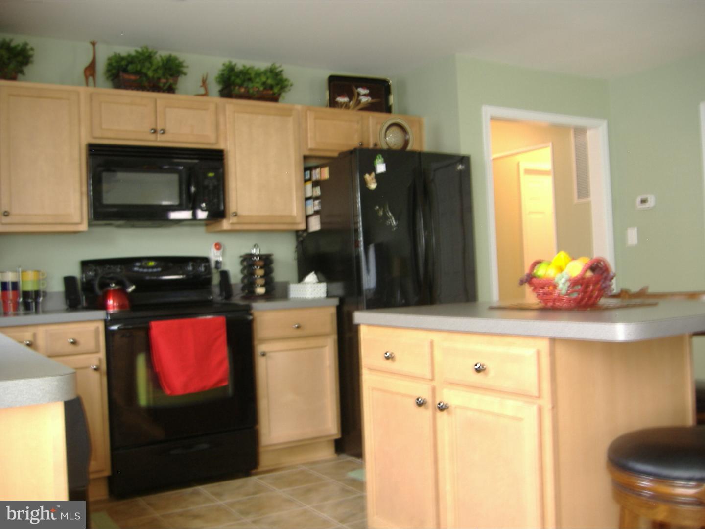 65 Cherry Hill Road Magnolia, DE 19962 - Photo 12 of 25 Kitchen