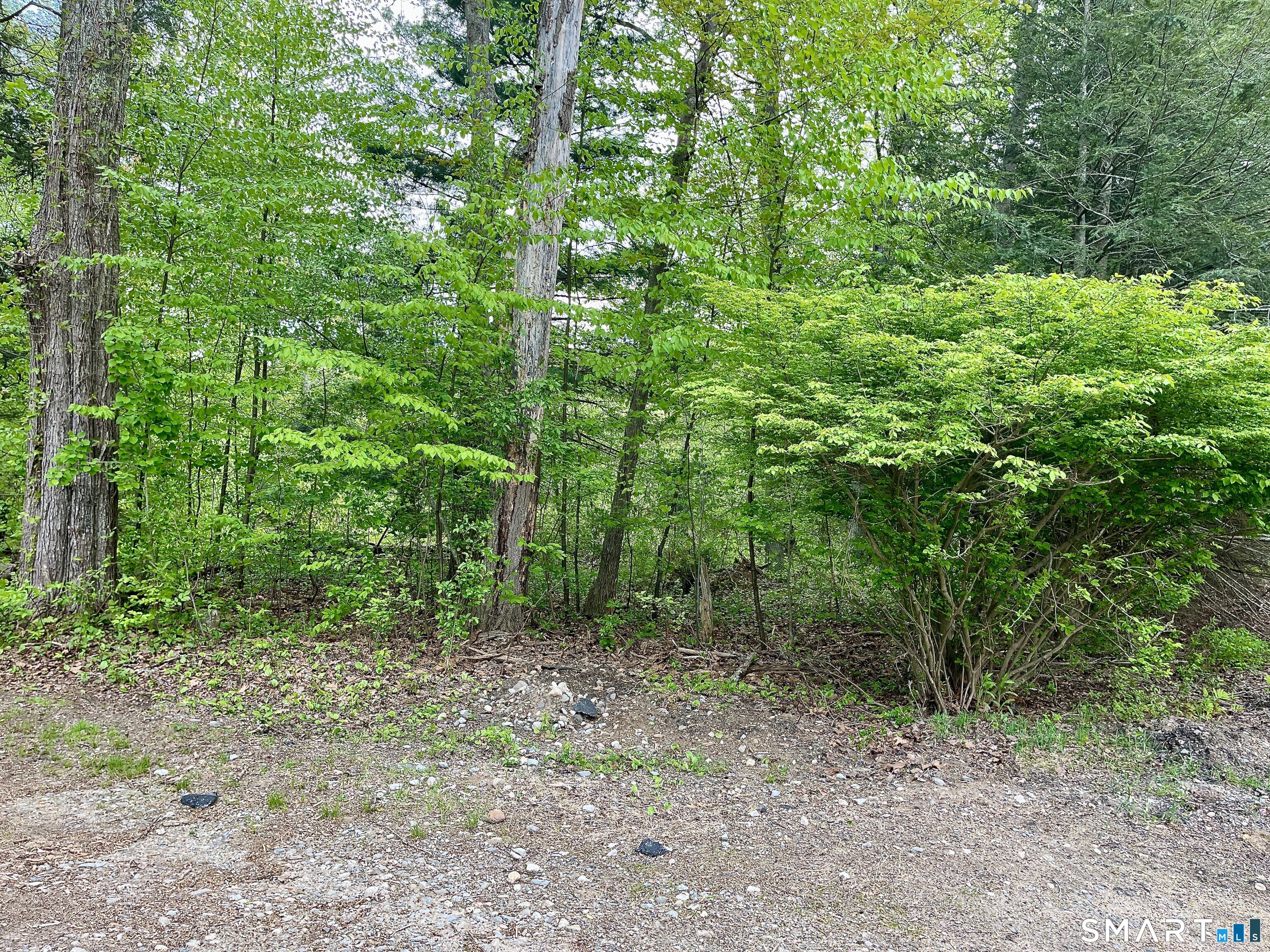 Meadow Brook Road Amston, CT 06231 - Photo 10 of 14 a view of a forest that has large trees