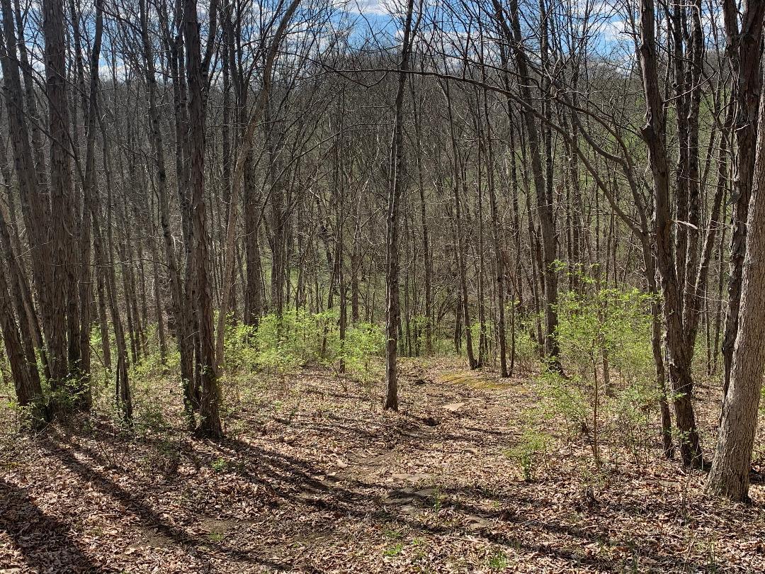 800 Eckler Road Dry Ridge, KY 41035 - Photo 20 of 50