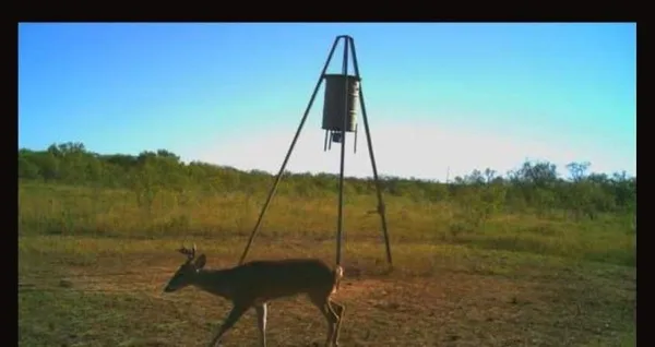 $2,429,000 | 209 County Road 209, Wingate, TX 79566