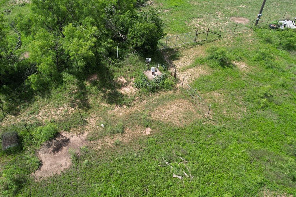 209 County Road 209 Wingate, TX 79566 - Photo 16 of 23 a view of a yard with plants and large trees