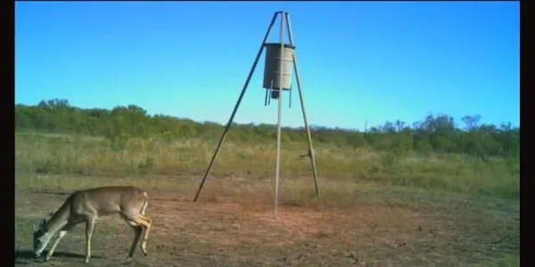 $2,429,000 | 209 County Road 209, Wingate, TX 79566