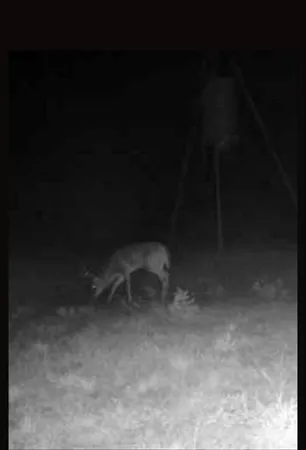 $2,429,000 | 209 County Road 209, Wingate, TX 79566