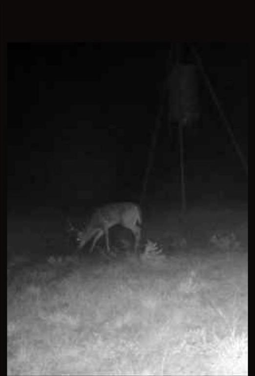 209 County Road 209 Wingate, TX 79566 - Photo 29 of 30