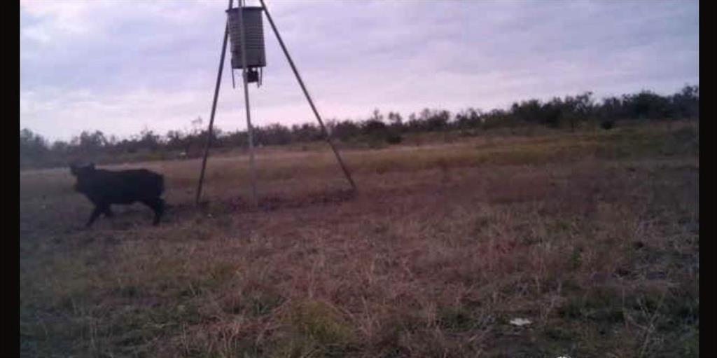 209 County Road 209 Wingate, TX 79566 - Photo 30 of 30