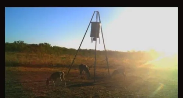 $2,429,000 | 209 County Road 209, Wingate, TX 79566