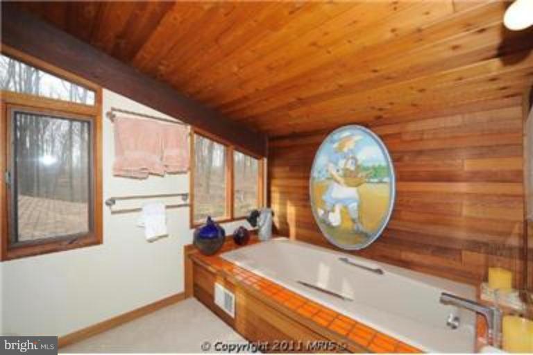 12115 Frederick Road Ellicott City, MD 21042 - Photo 20 of 23 Master Bath