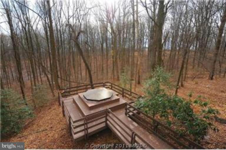 12115 Frederick Road Ellicott City, MD 21042 - Photo 7 of 23 Hot Tub