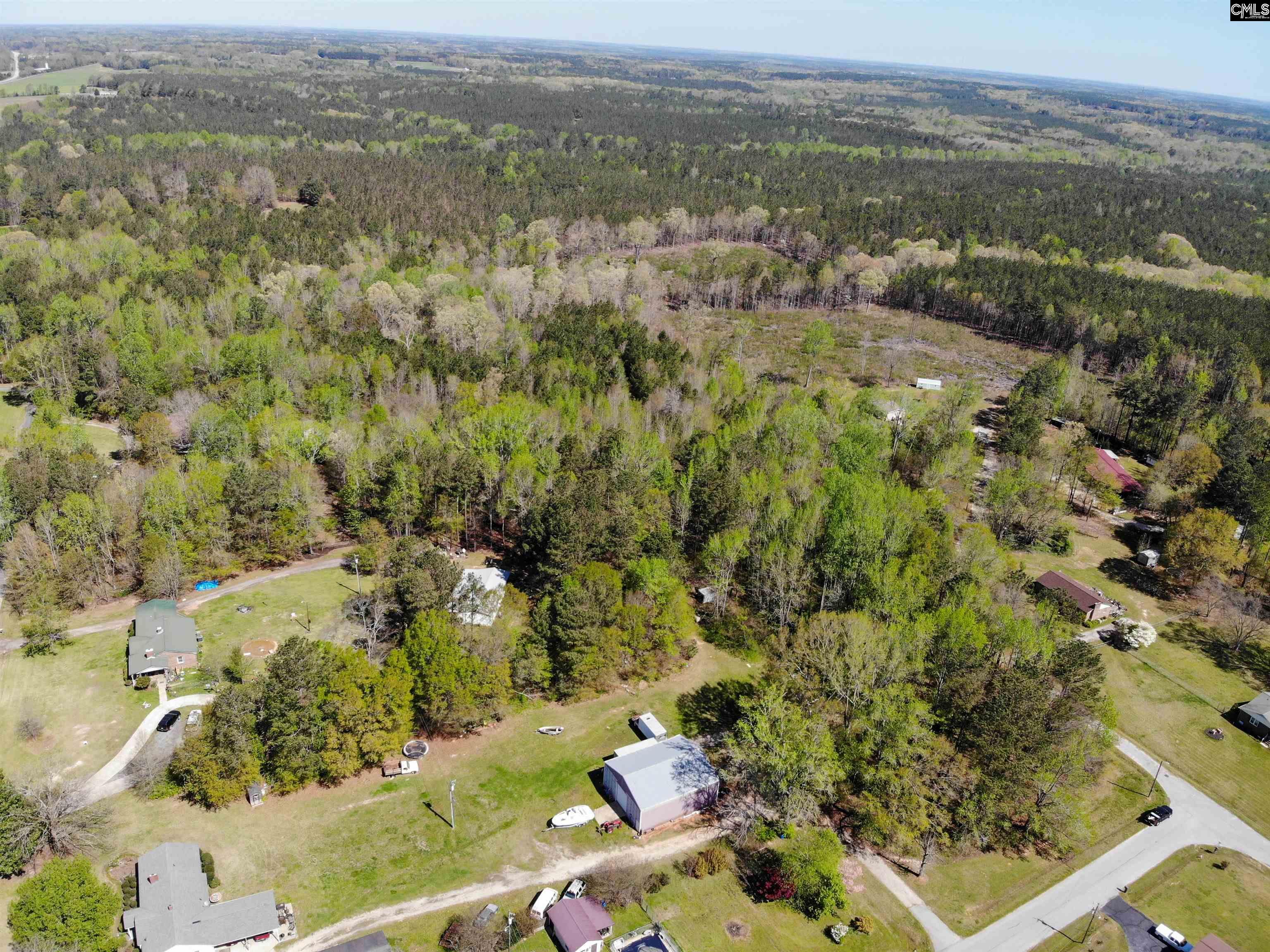 Tbd James Road Joanna, SC 29351 - Photo 20 of 82