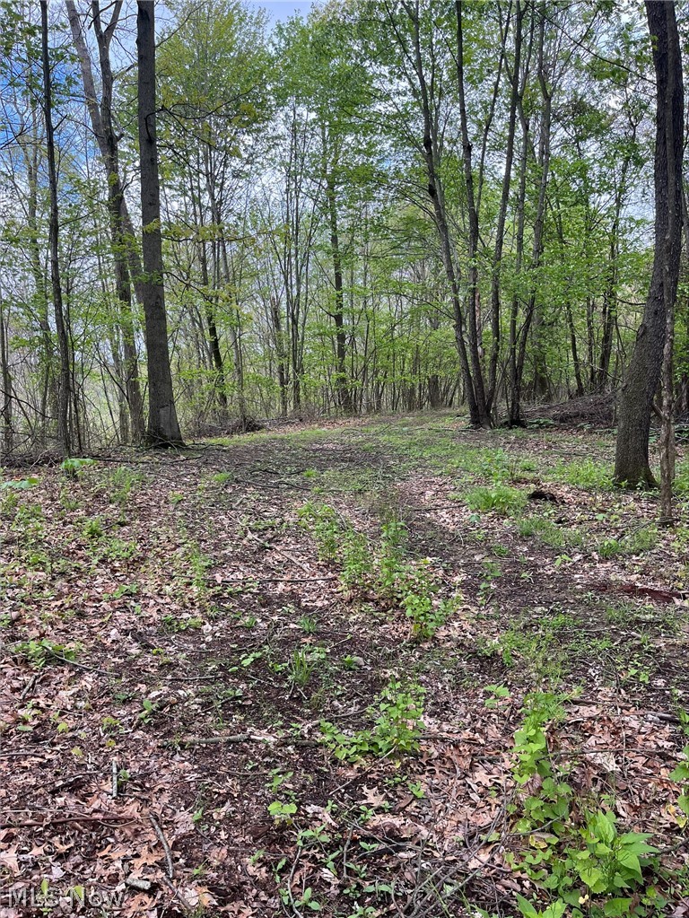 Sandy Ridge Road Tippecanoe, OH 44699 - Photo 5 of 21