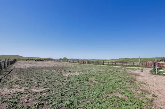 a view of a big yard and large trees