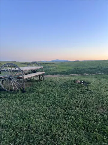 a view of a lush green outdoor space with lots of trees