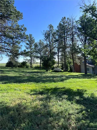 a view of a yard with an outdoor space
