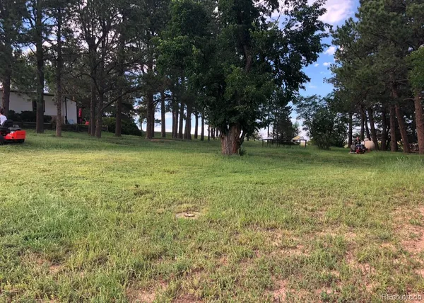 a view of a field with trees