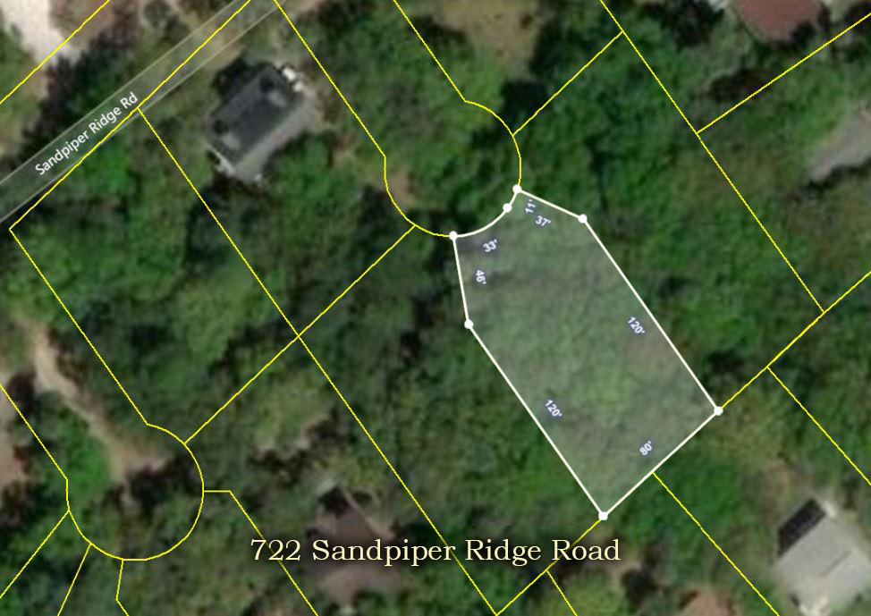 722 Sandpiper Road Edisto Island, SC 29438 - Photo 1 of 14 1