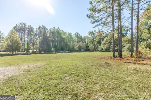 a view of a field with trees in the background