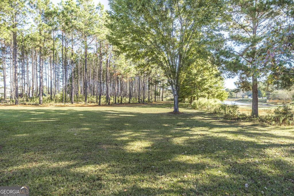 119 William D Street Cochran, GA 31014 - Photo 39 of 42 a garden view with trees